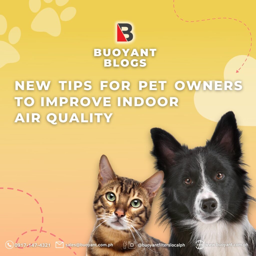 Tips for Pet Owners to Improve Indoor Air Quality