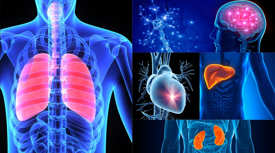 Top 10 Health Effects Of Poor Indoor Air Quality Buoyant Industrial top-10-health-effects-of-poor-indoor-air-quality-buoyant-industrial